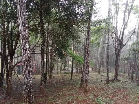 Casa en Venta en Altos de Cerro Azul