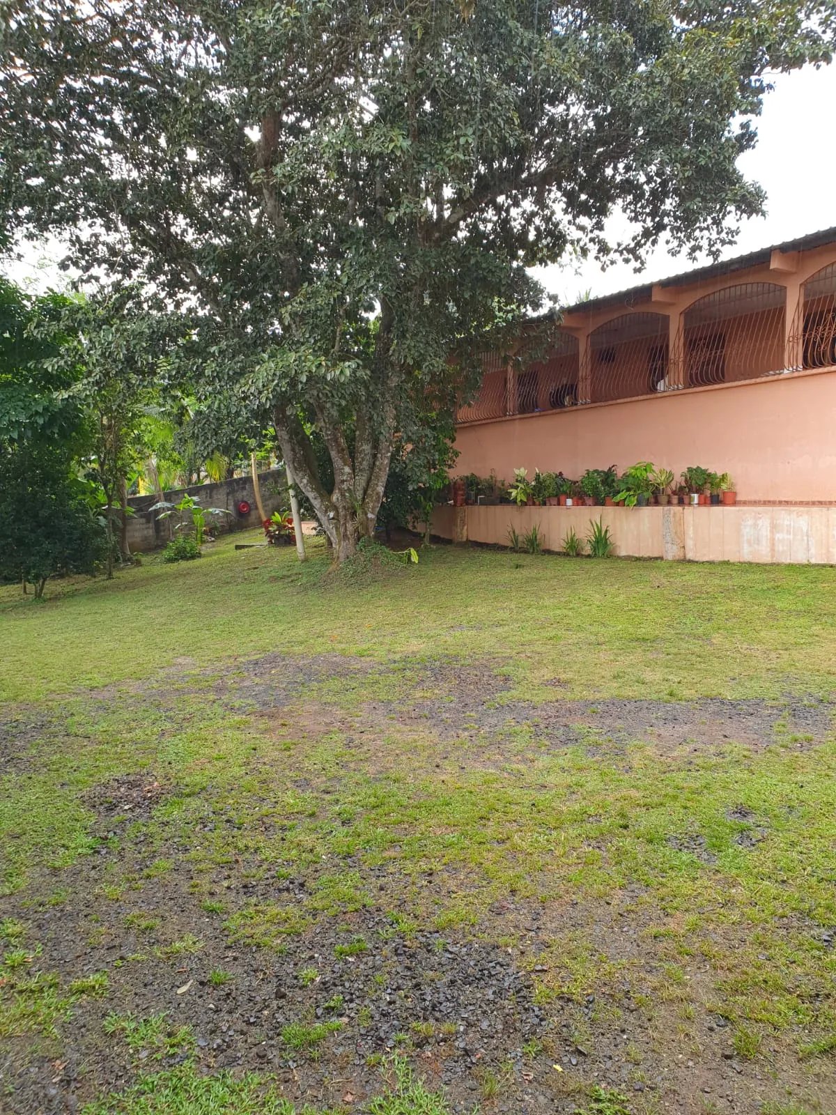 VENDO PROPIEDAD COMERCIAL EL COCO LA CHORRERA
