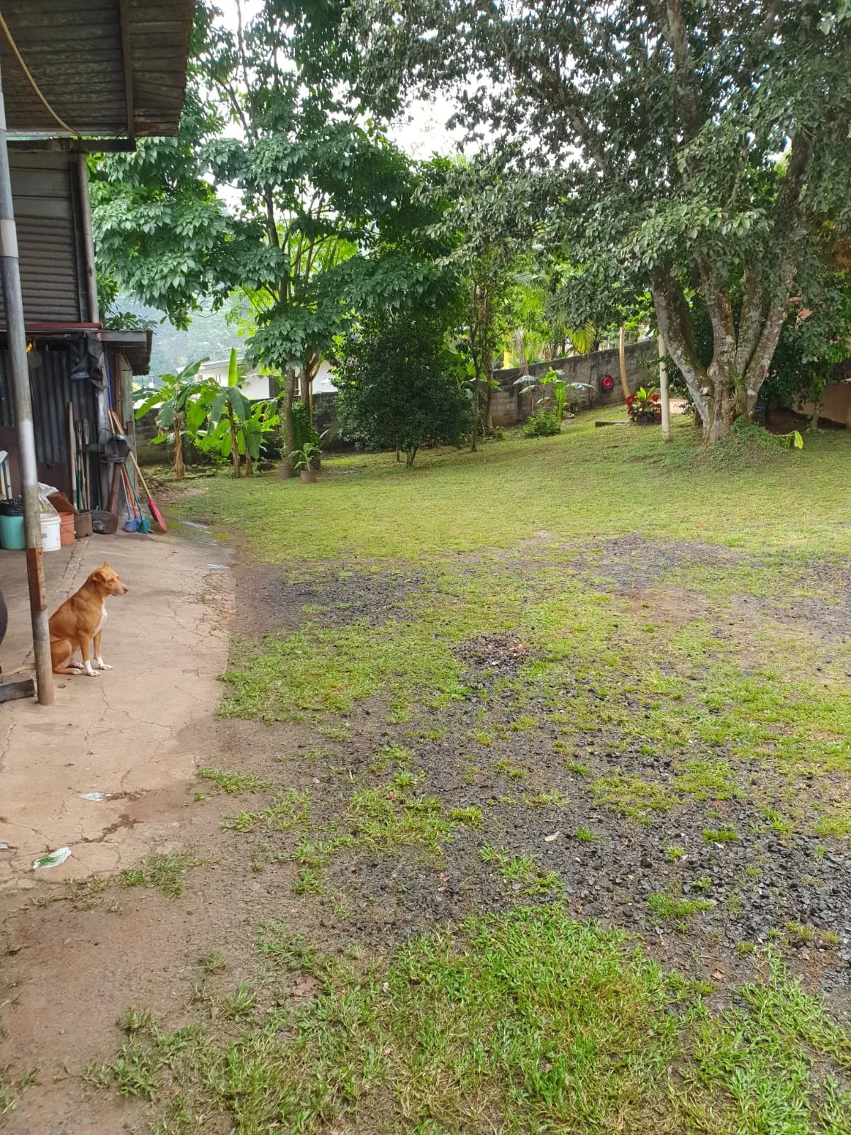 VENDO PROPIEDAD COMERCIAL EL COCO LA CHORRERA