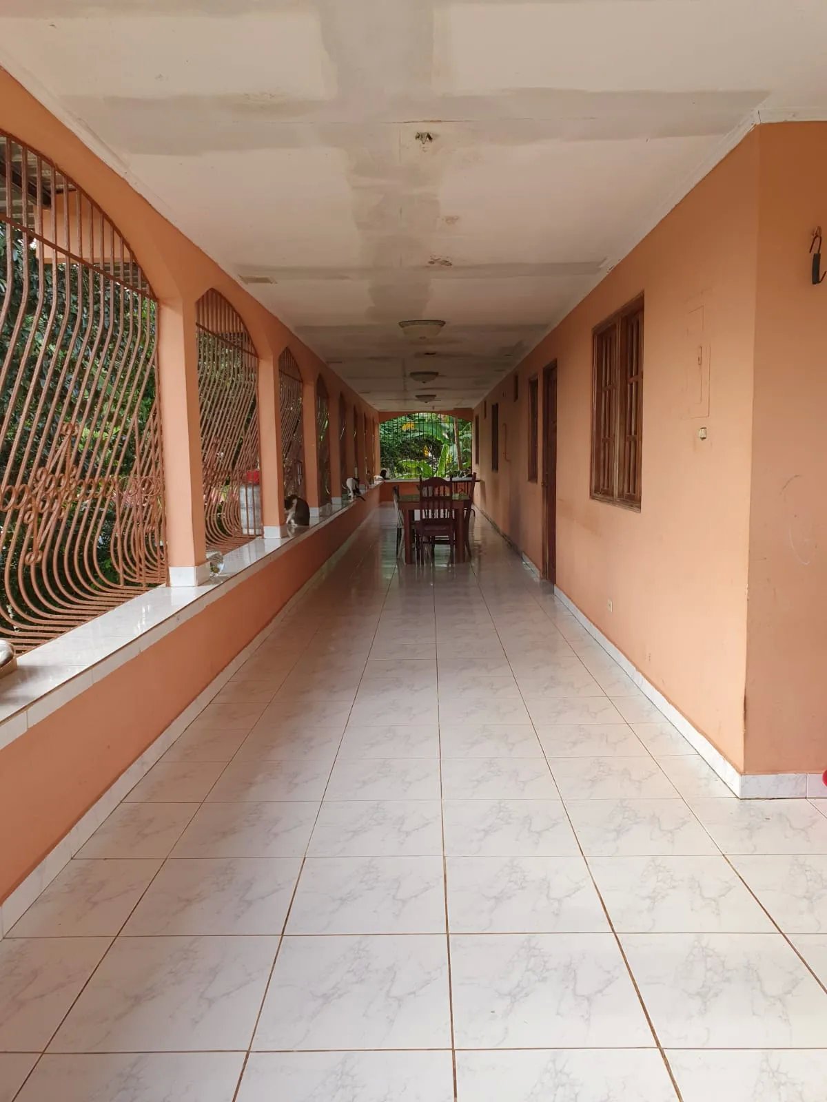 VENDO PROPIEDAD COMERCIAL EL COCO LA CHORRERA