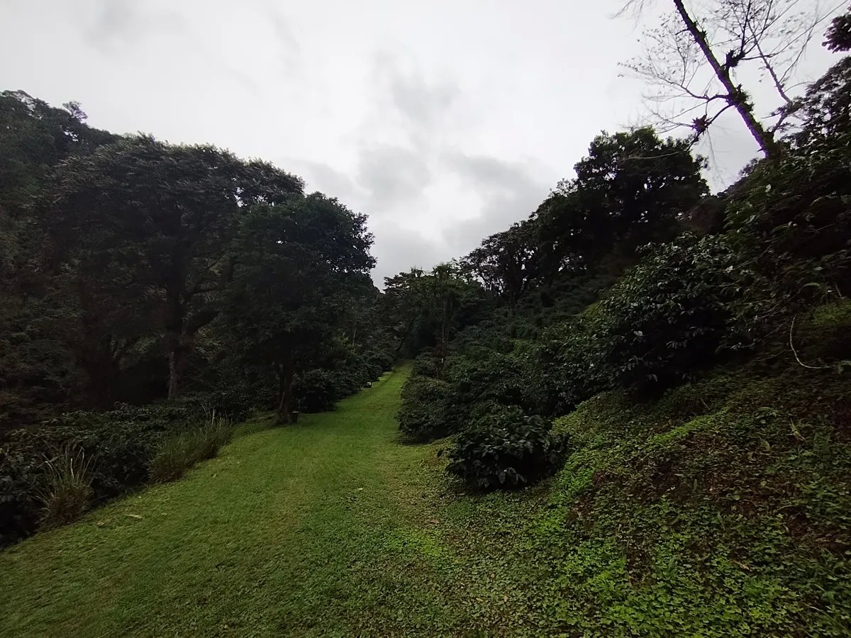 Finca de Cafe en Boquete | Los Naranjos Chiriqui Panamá | $15,000,000