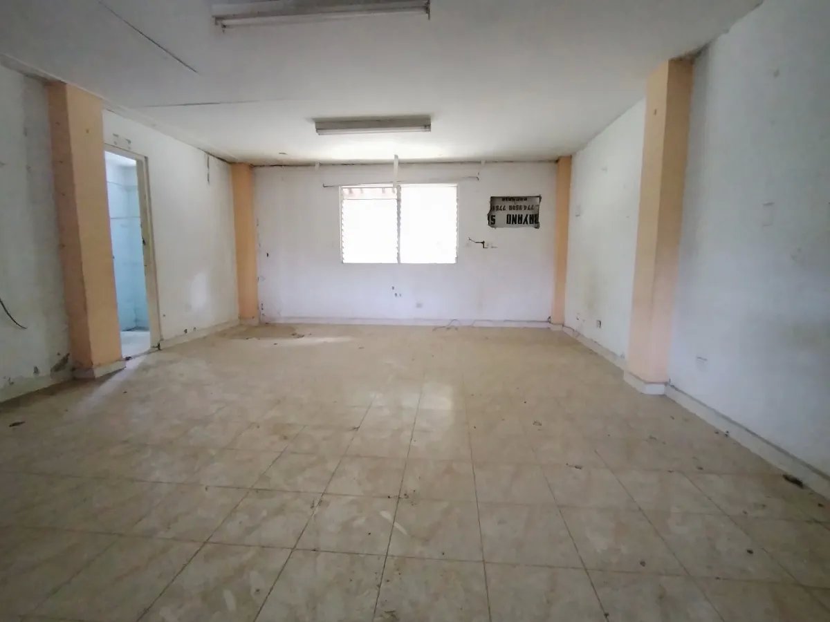 Galera en Venta en Panamá | David, Chiriquí Propiedad Industrial de 1 Hectárea