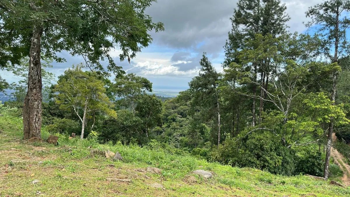71 Hectares in Cerro Azul with River & Road Access | $1/m²