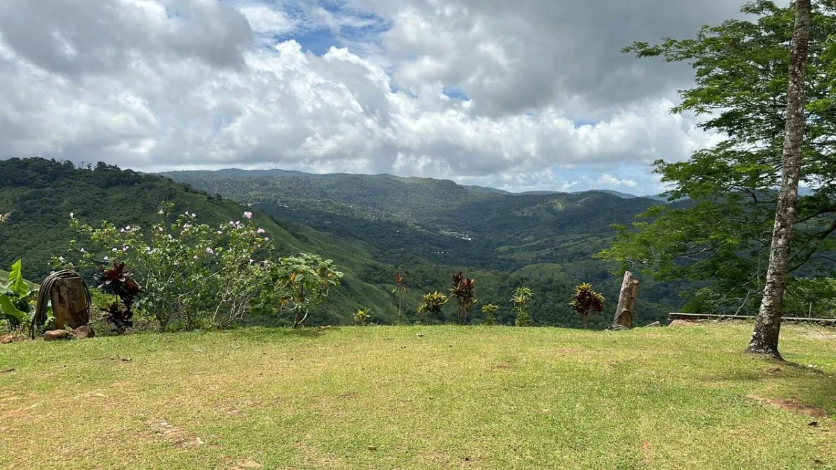 71 Hectares in Cerro Azul with River & Road Access | $1/m²