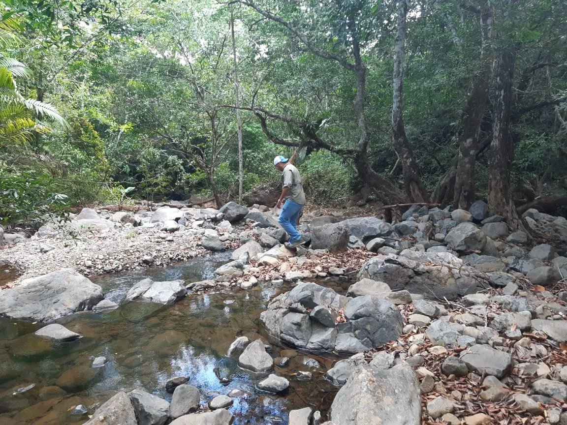 71 Hectares in Cerro Azul with River & Road Access | $1/m²