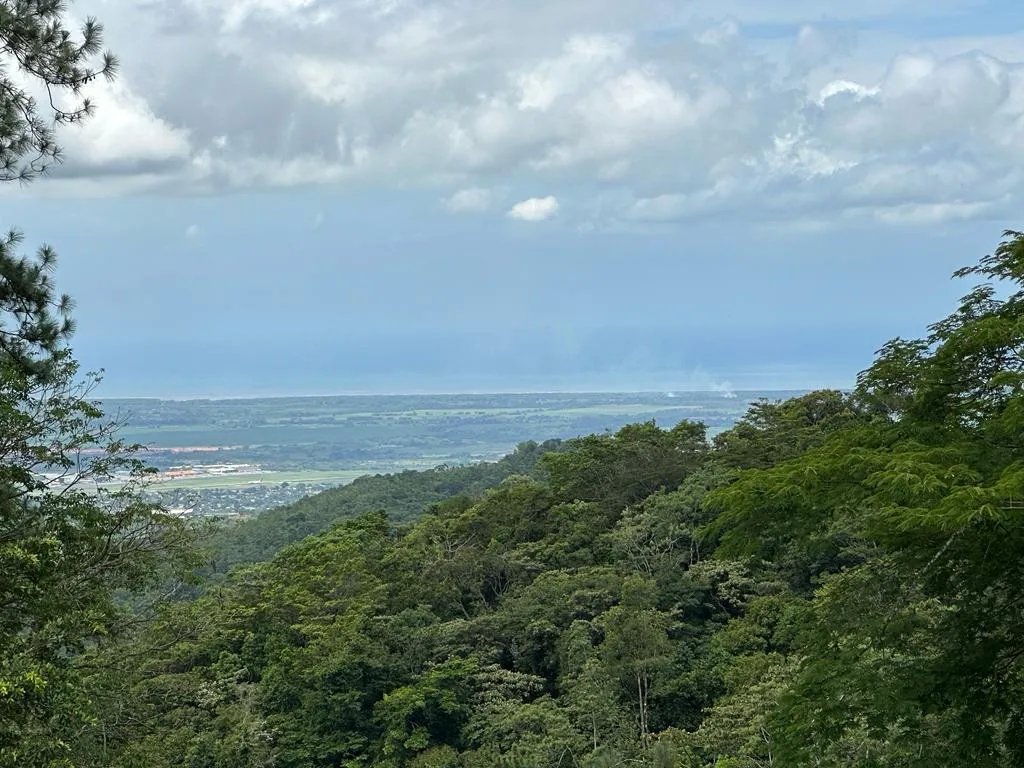 71 Hectares in Cerro Azul with River & Road Access | $1/m²