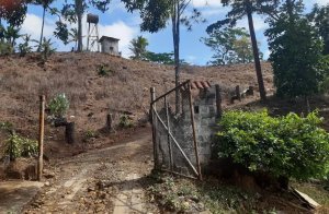 143149 - Cerro azul - lots - altos de cerro azul