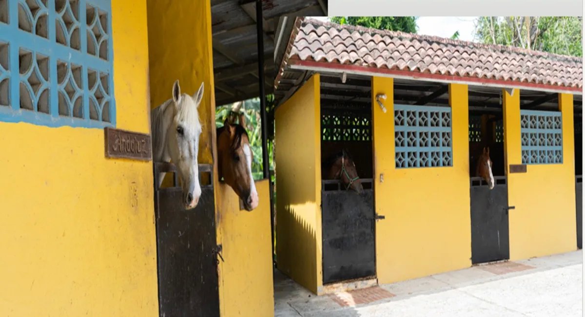 Exclusive Country Estate for Sale  Leisure and Recreation Property in Colón