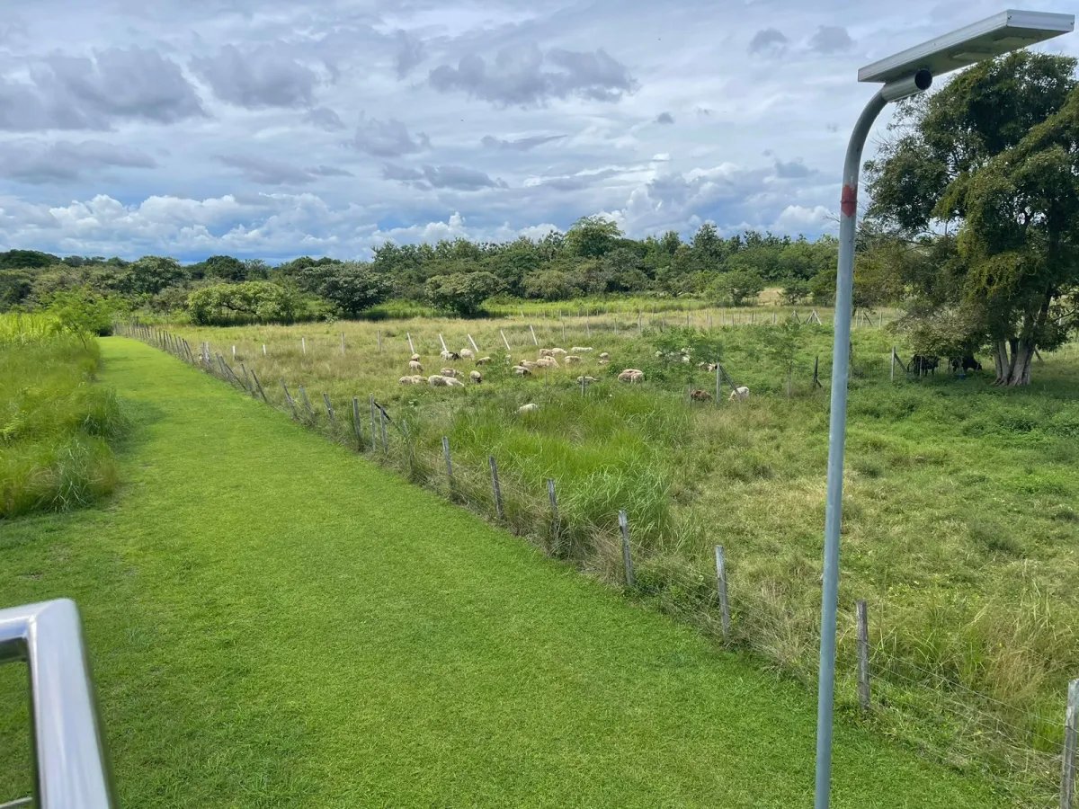 Finca Productiva y Ecuestre Totalmente Operativa cerca de Buenaventura