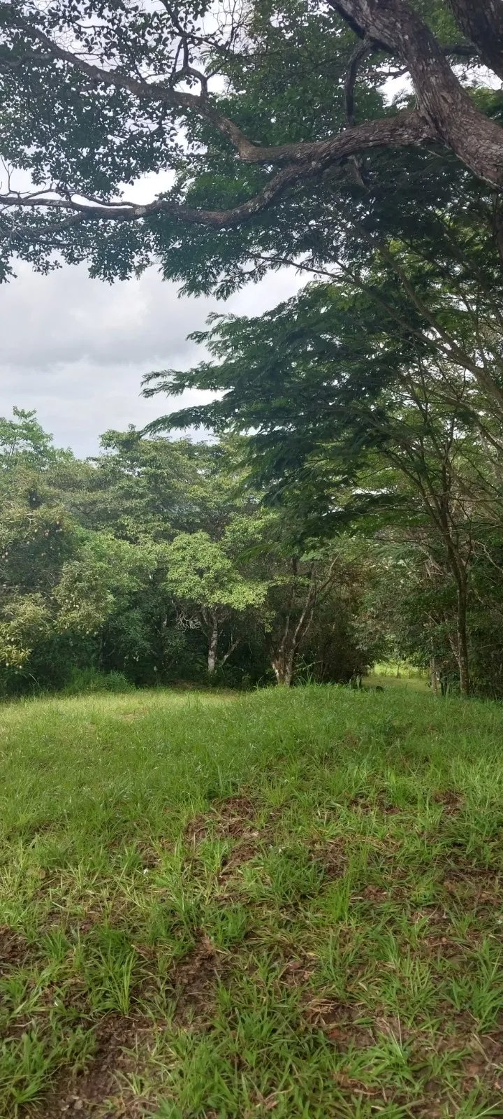 Terreno Ideal para Desarrollo en Altos de Tocumen con Vista Panorámica...