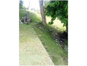 143195 - El bosque - lots - residencial el bosque