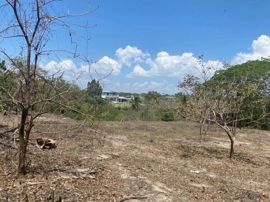 Venta de Terreno de Playa en Rio Hato 8,790 m2
