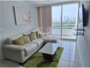 143381 - Carrasquilla - properties