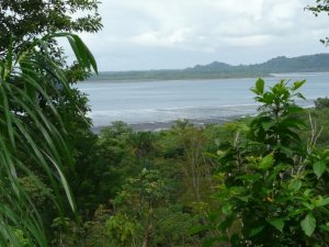 143385 - Chiriquí - lots