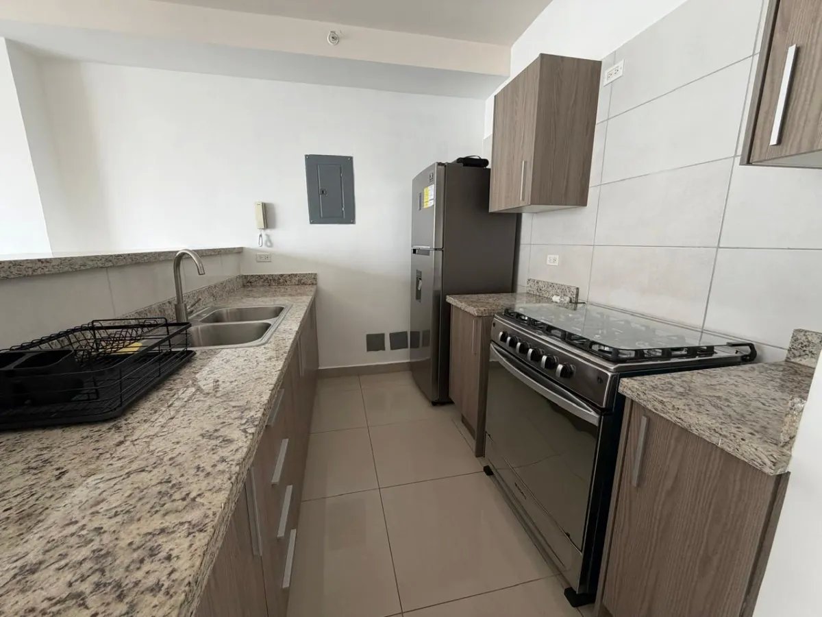 Furnished apartment for sale in PH San Roque, Via España