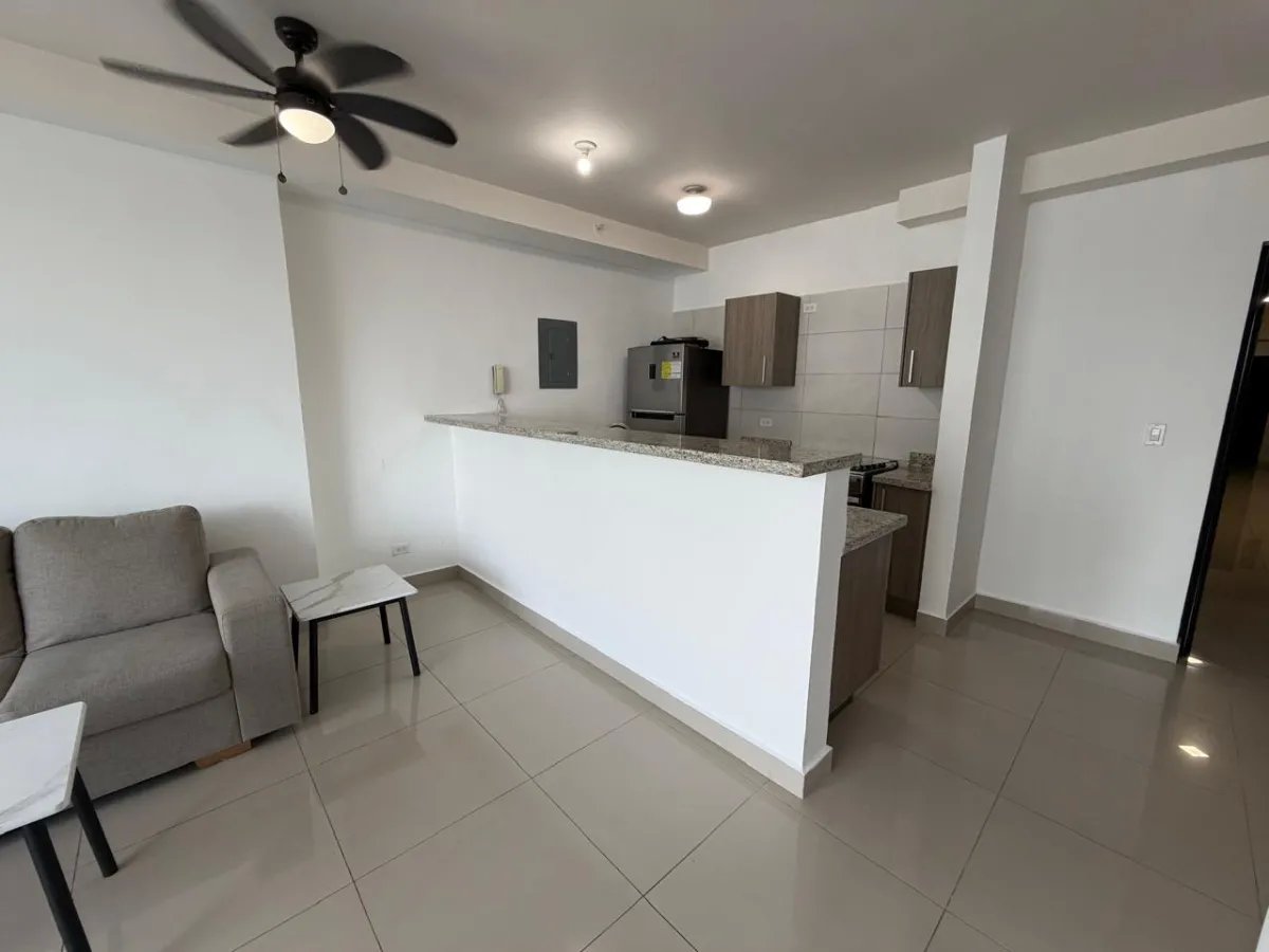 Furnished apartment for sale in PH San Roque, Via España