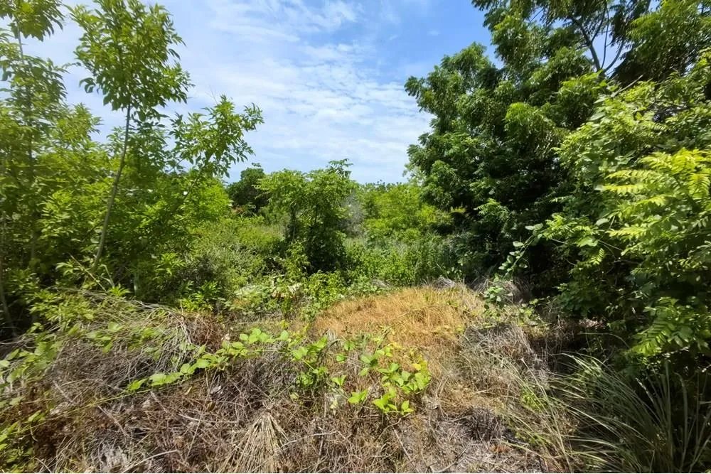 Terreno de playa en venta en Punta Chame