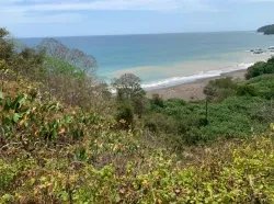 Se Vende 347 Hectareas Frente a Playa en Cerro Hoya Cerca de Cambutal,...