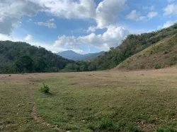 Beach Front 347 Hectares For Sale In Cerro Hoya near Cambutal, Panama