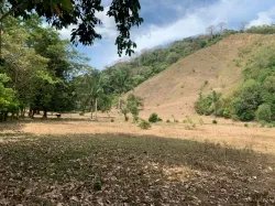 Beach Front 347 Hectares For Sale In Cerro Hoya near Cambutal, Panama