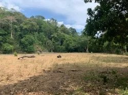 Beach Front 347 Hectares For Sale In Cerro Hoya near Cambutal, Panama