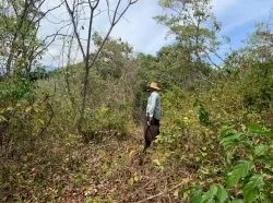 Beach Front 347 Hectares For Sale In Cerro Hoya near Cambutal, Panama