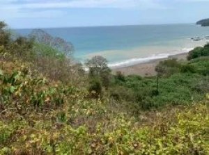 Beach Front 347 Hectares For Sale In Cer...