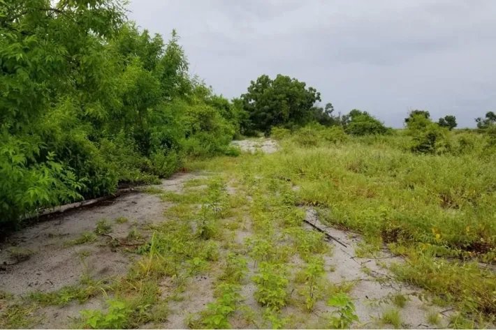 Lot for Sale in Punta Chame