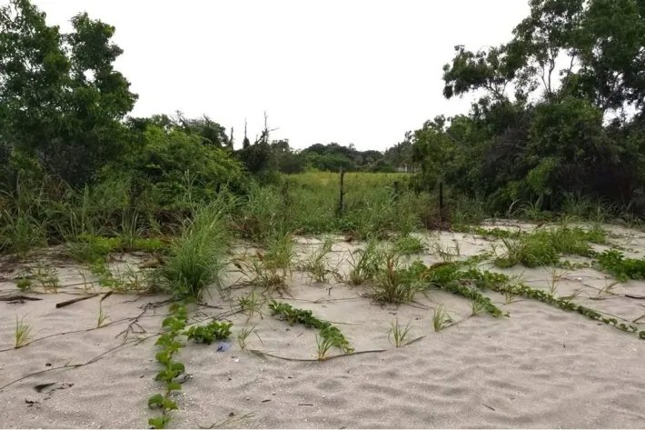 Lot for Sale in Punta Chame