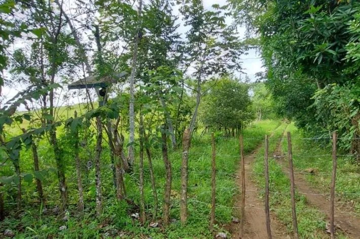 Se vende terreno en Río Chico, Pacora