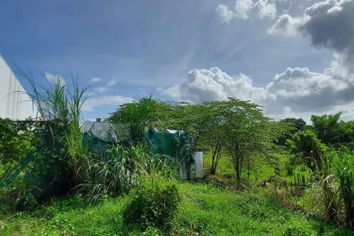 Se vende terreno comercial en Pacora
