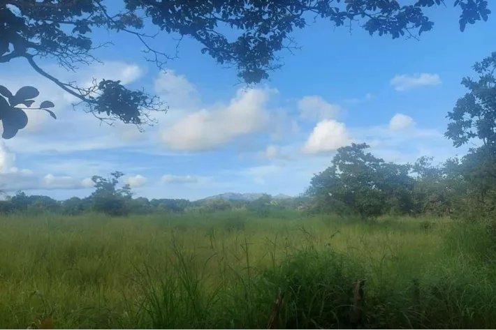 Se vende finca en Punta Barco, San Carlos