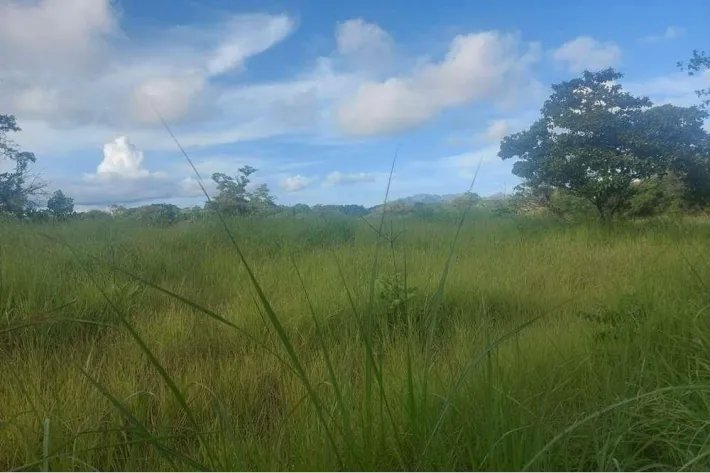 Se vende finca en Punta Barco, San Carlos