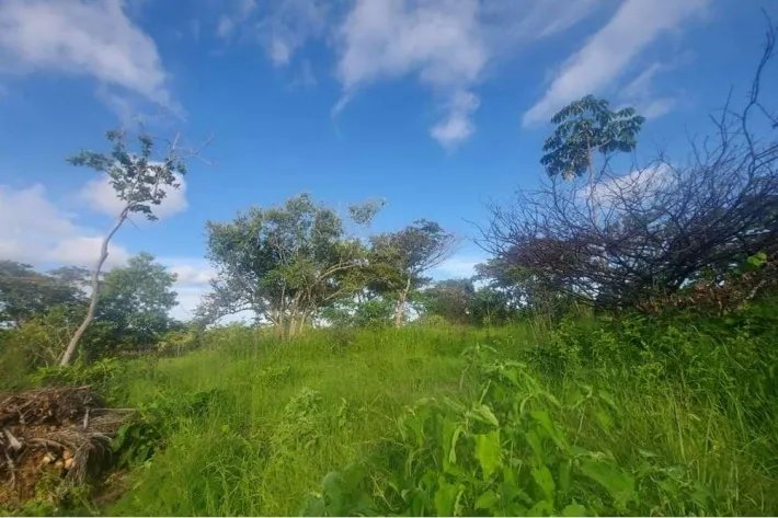 Se vende finca en Punta Barco, San Carlos