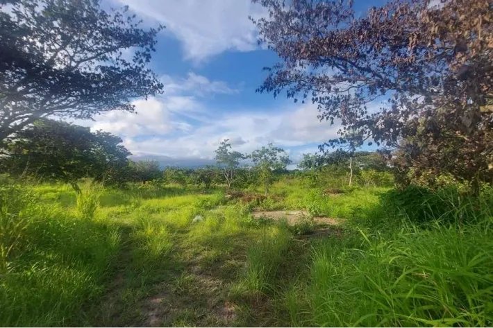 Se vende finca en Punta Barco, San Carlos