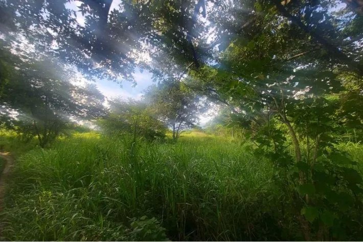 Se vende finca en Punta Barco, San Carlos