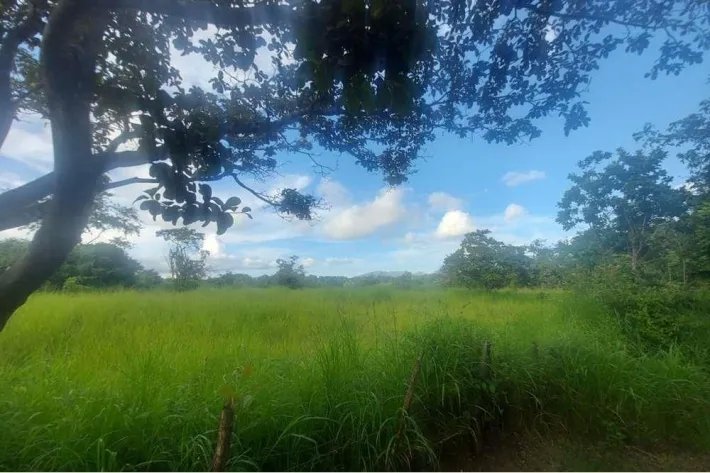 Se vende finca en Punta Barco, San Carlos