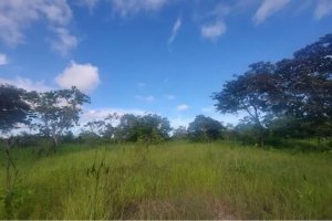 Se vende finca en Punta Barco, San Carlos