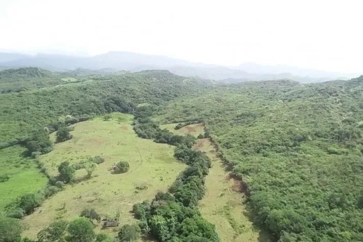 Se Vende terreno en Natá - La Yeguada, Coclé