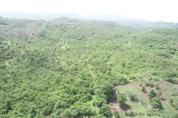 Se Vende terreno en Natá - La Yeguada, Coclé