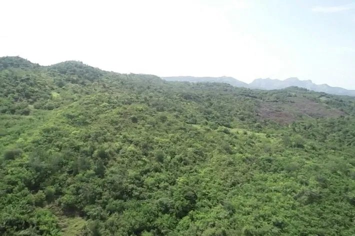 Se Vende terreno en Natá - La Yeguada, Coclé