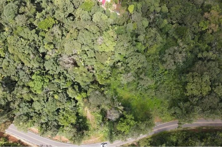 Se Venden Lotes en Altos de Pacora