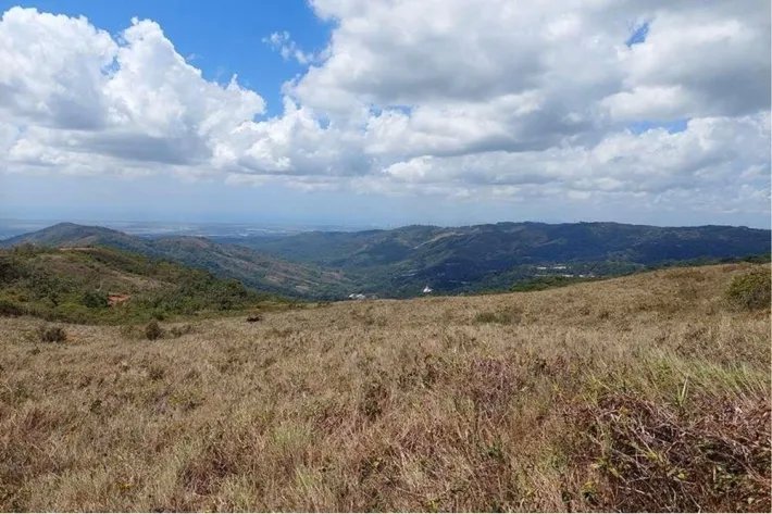 Se Venden Lotes en Altos de Pacora