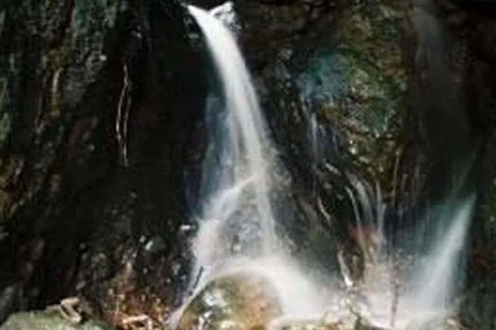 Venta de Islas Maje y Majagual, Chiriquí