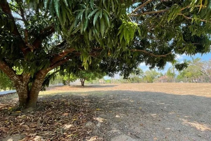 Se venden terrenos en Club de Golf, Coronado, Chame