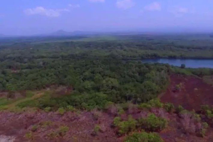 Venta de Isla en Chiriqui