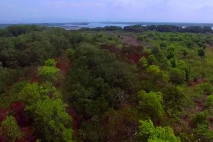 Venta de Isla en Chiriqui