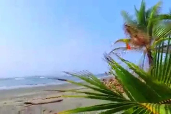 Venta de Isla en Chiriqui