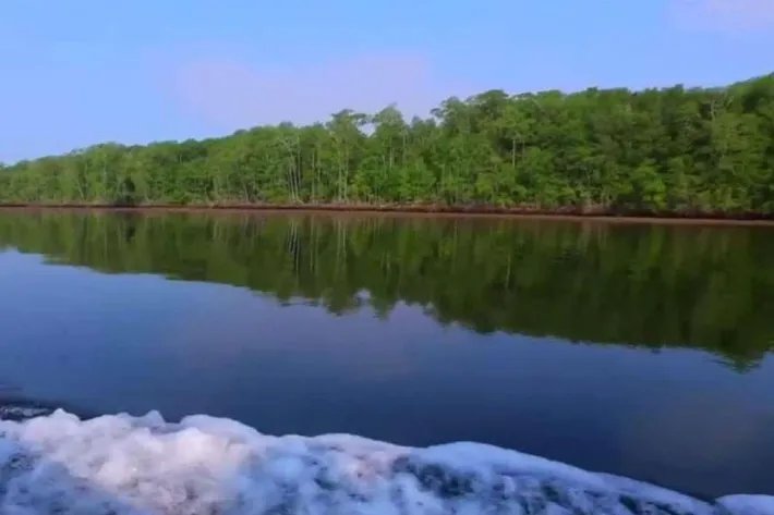 Venta de Isla en Chiriqui