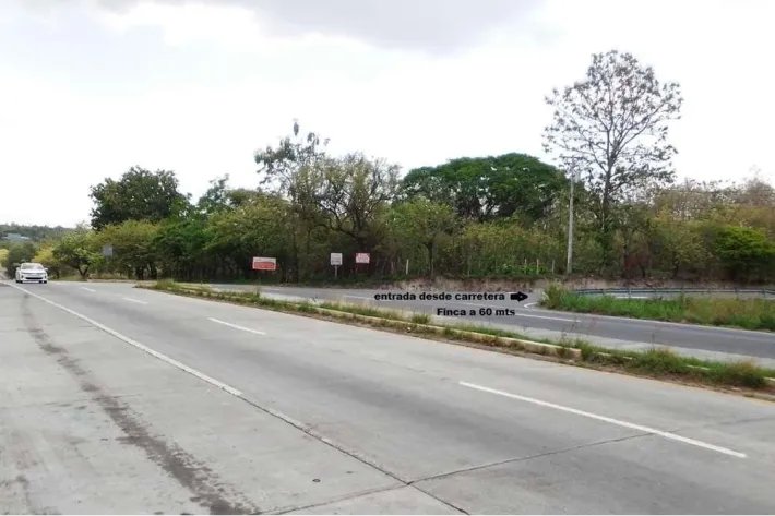 Venta de Finca en El Higo de San Carlos